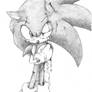 pinch of sonic the hedgehog