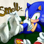Sonic's smellysocks