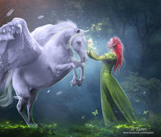 Fantasy art manipulation