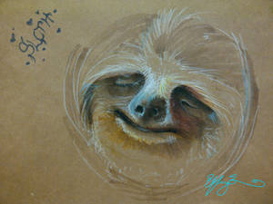 Sloth