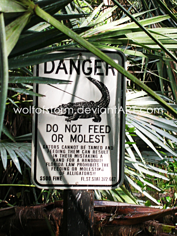 DON'T MOLEST THE ALLIGATORS