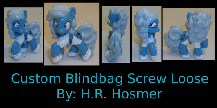 Custom Blindbag Screw Loose