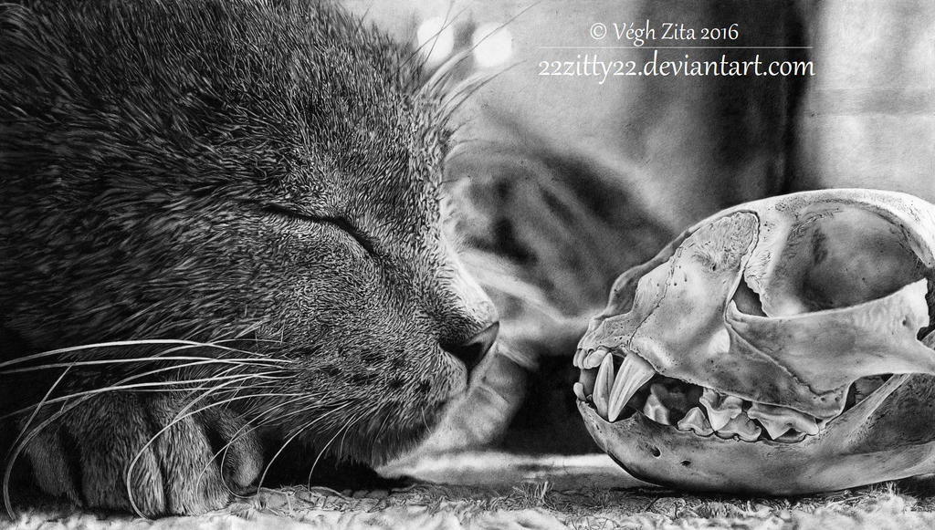 Cat black pen drawing by 22Zitty22 on DeviantArt