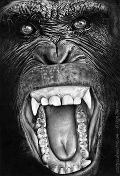 Chimp pen drawing