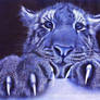 Tiger blue pen drawing