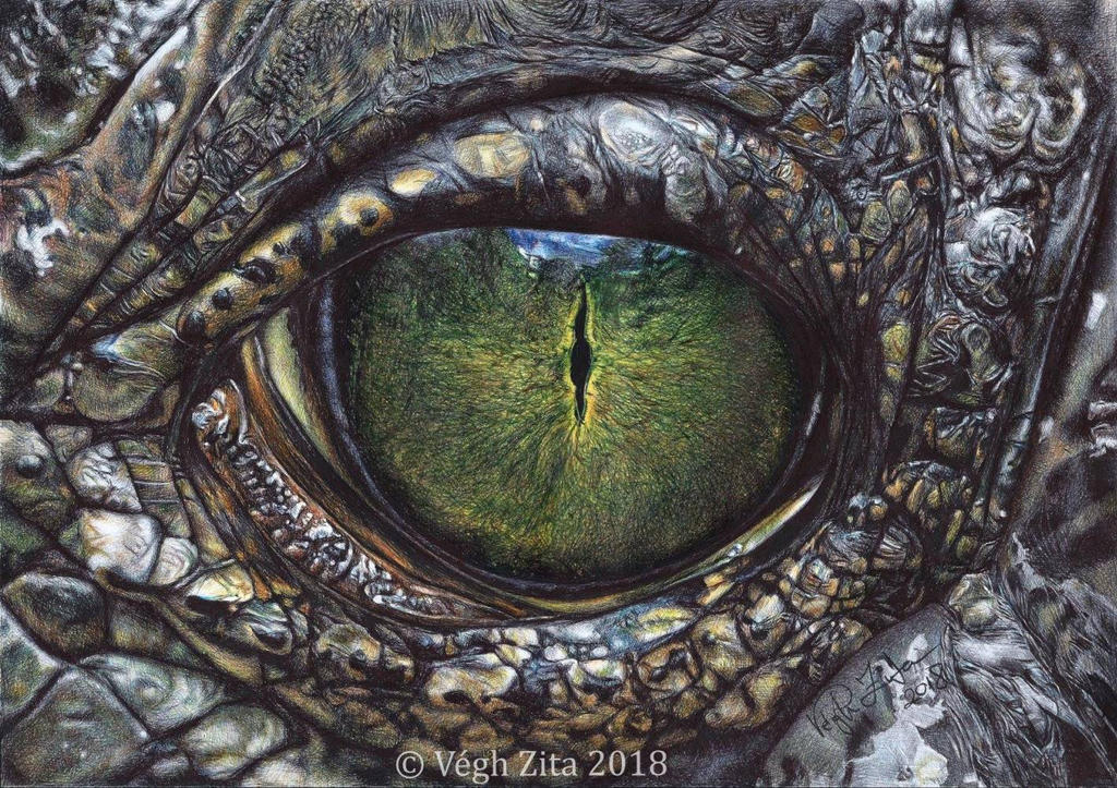 Reptile eye ball pen drawing by 22Zitty22 on DeviantArt