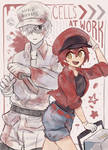 cells!! at work!!