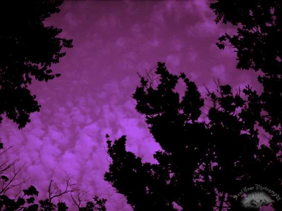 Purple Sky