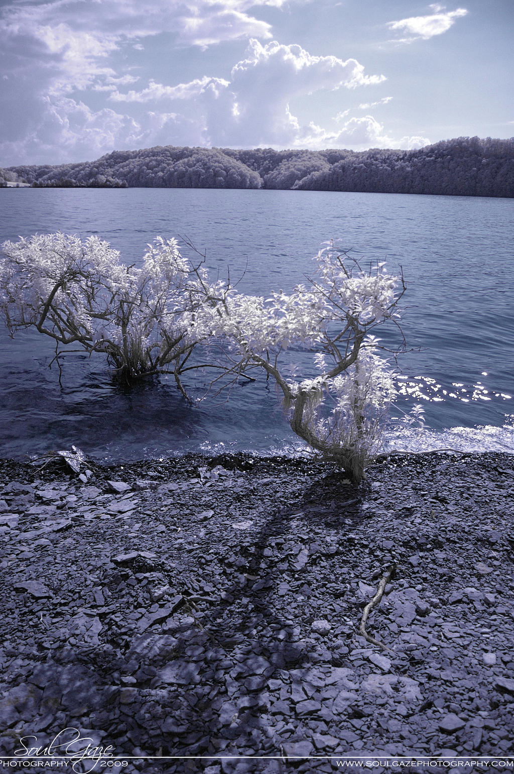 Dale Hollow Lake Infrared