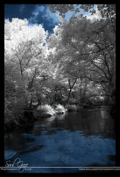 My Creek in Infrared 1