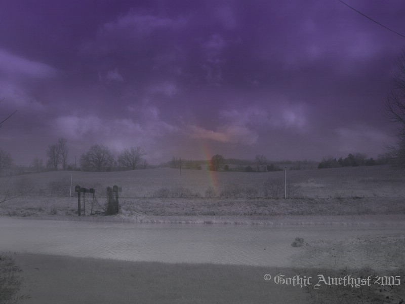 Purple Winter rainbow