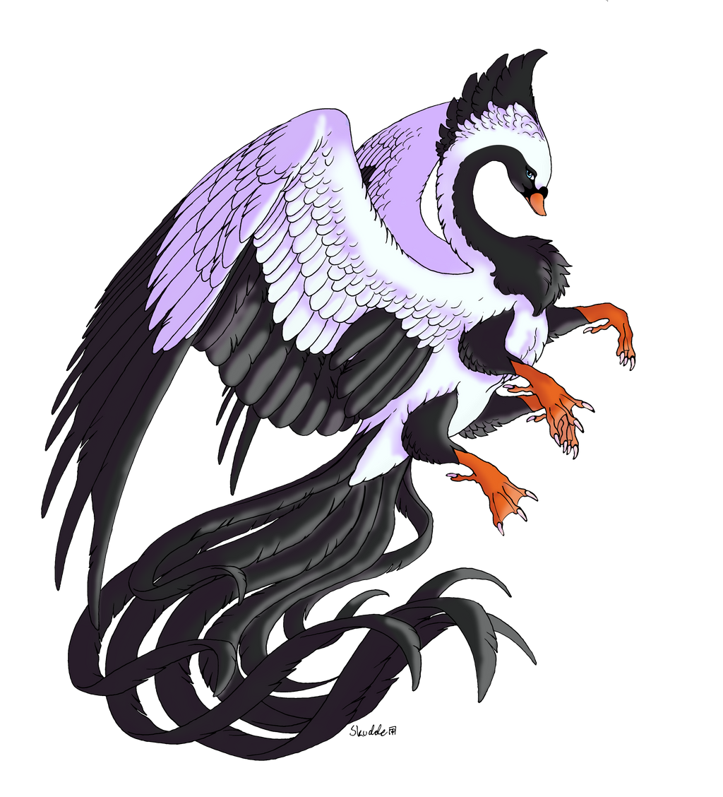 Swan Phoenix