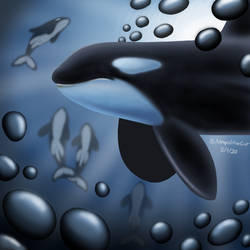 Orca Art 5/1/20