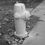 hydrant