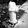 hydrant, V2