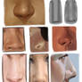 Nose studies