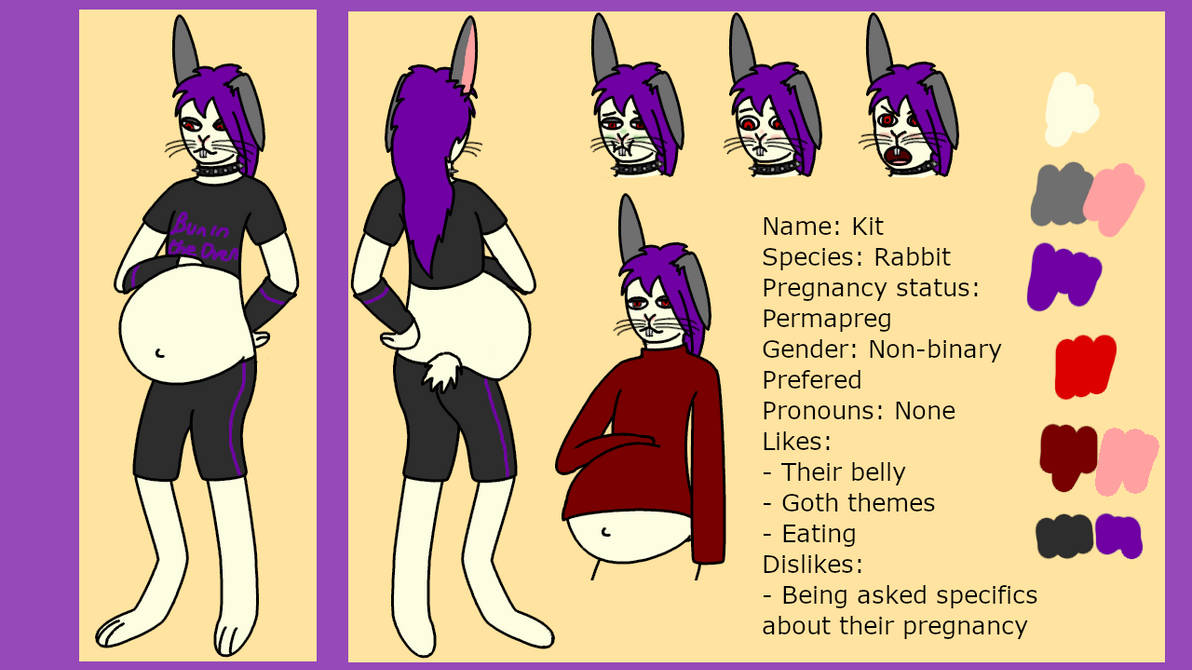 Kit Rabbit Progression Kit Ref Sheet by Dragon-of-fury on DeviantArt