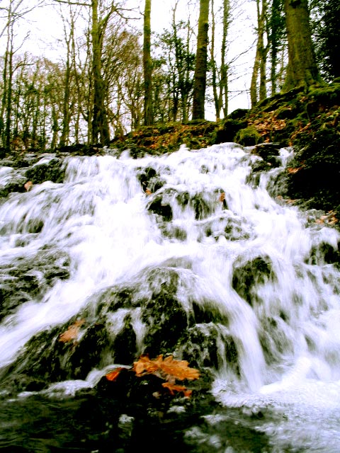 windermere stream 2