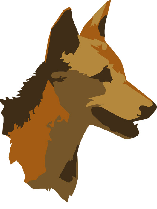 Dingo Bust