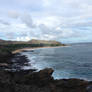 Beach in Hawaii