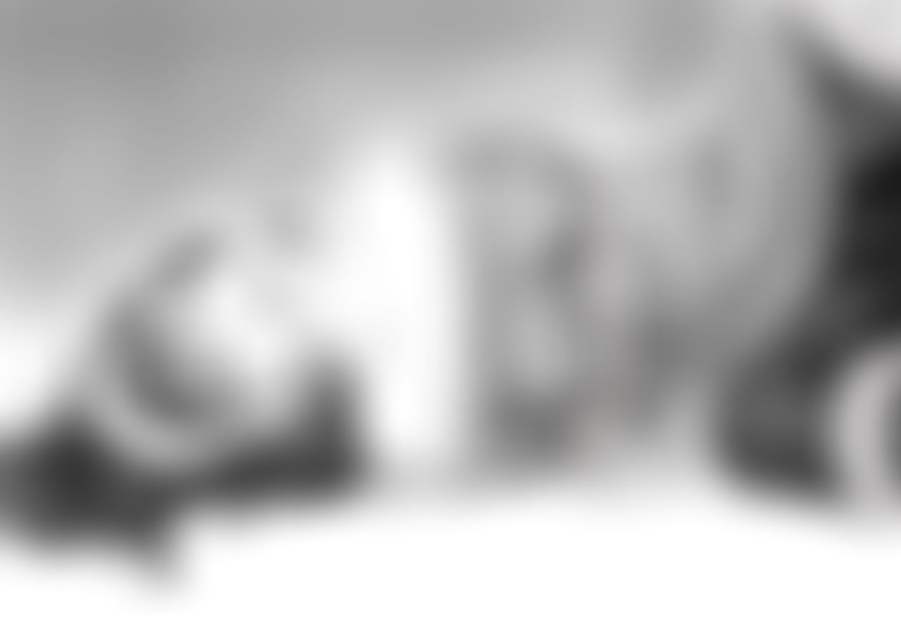 Yor Forger No. 2 by AlltheFantasies on DeviantArt