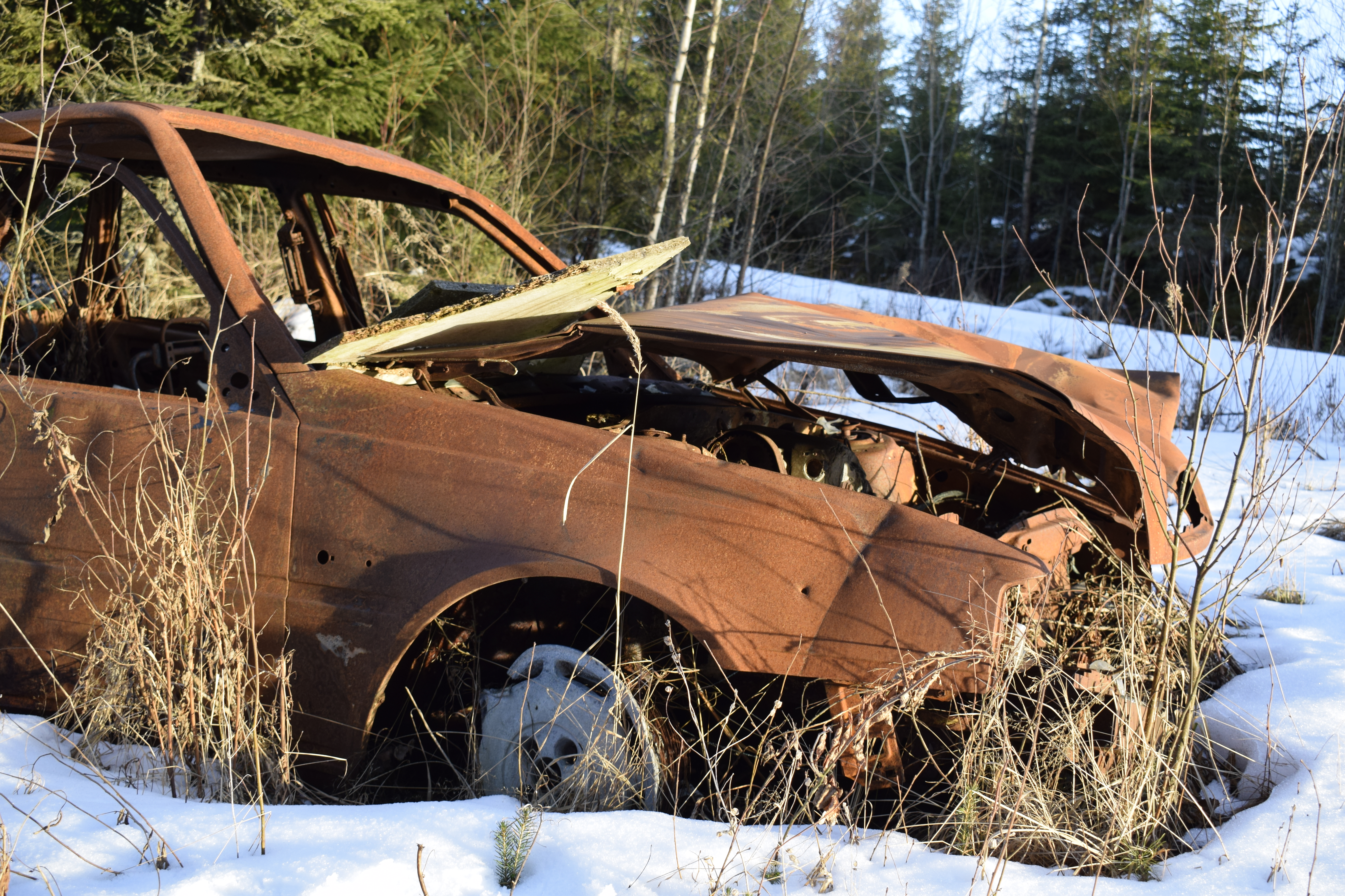 Abandoned Volvo