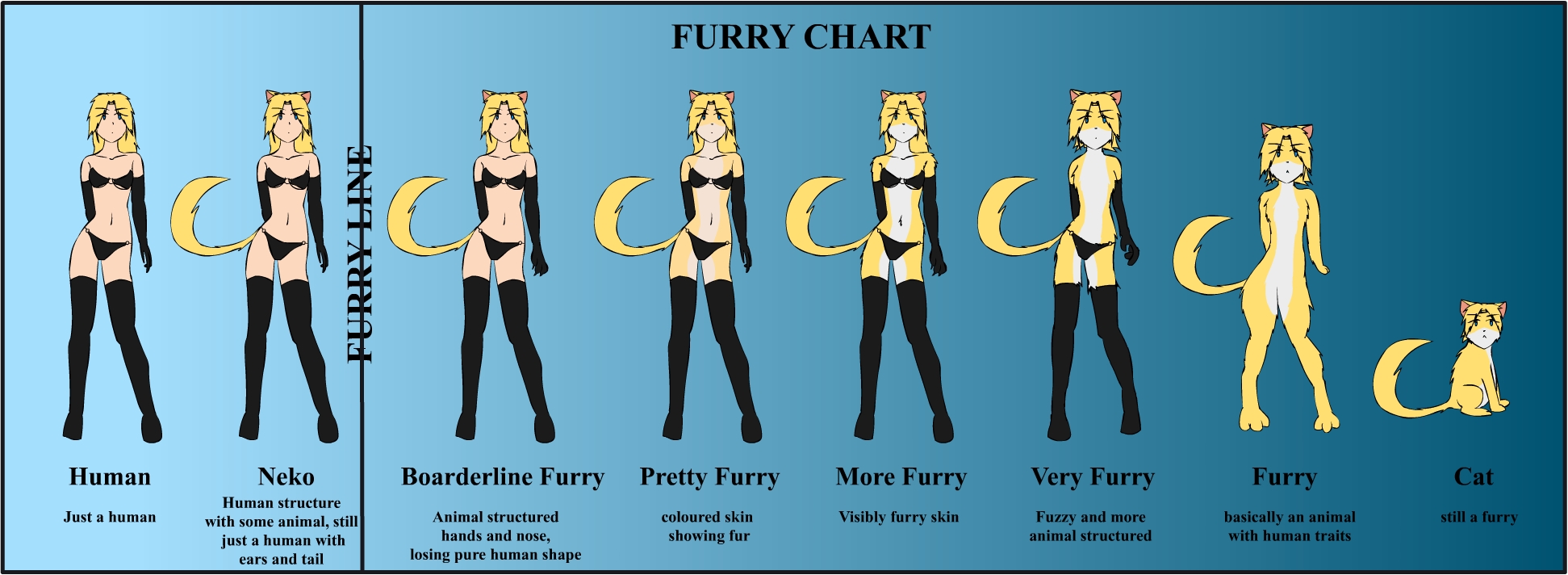 Furry Chart