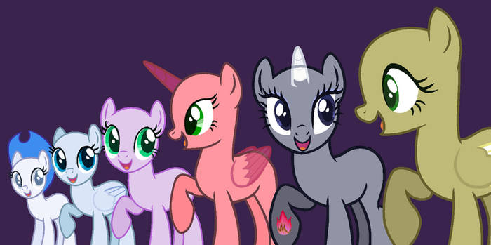 Mlp Base#143