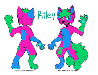 Riley ref sheet - 2020