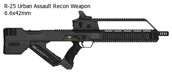 R-25 Assault Rifle