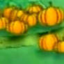 Pumpkin Patch