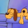 Odie Sleeping