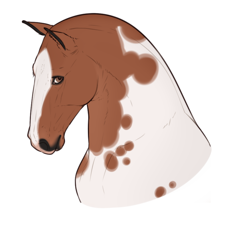 Mocha