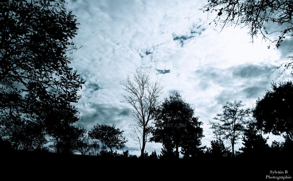 Tree Mdark Dark Tree by Sylvain-B on DeviantArt