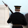 The Tomb Guard