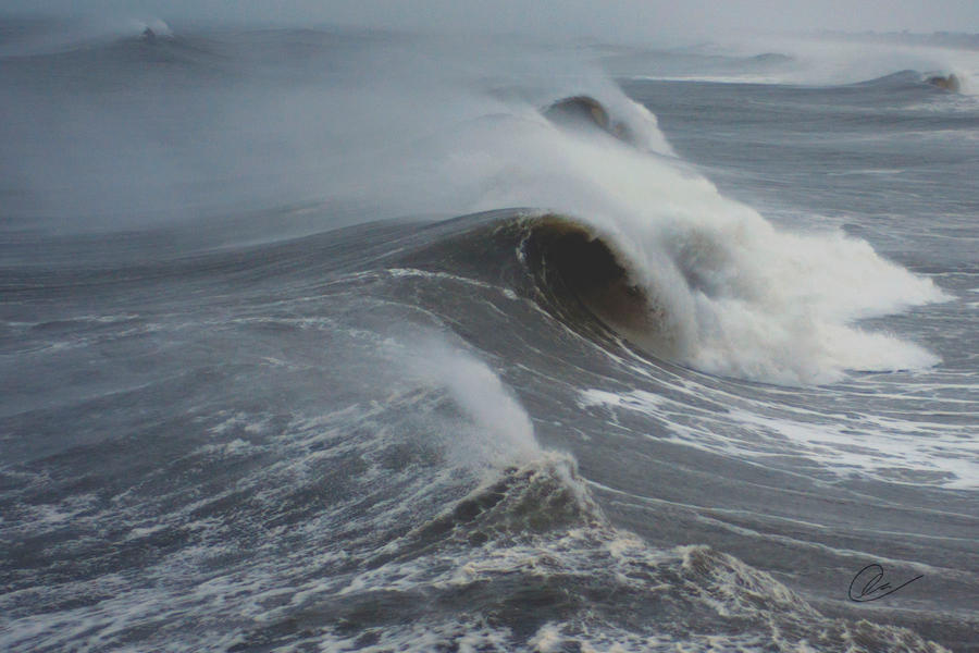 Water Curl