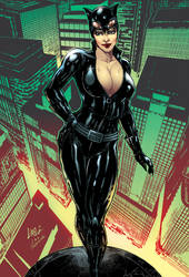 Catwoman_by_caiomarcus_color_by_vinicius-townsend