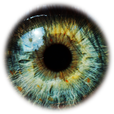 Eye D 2