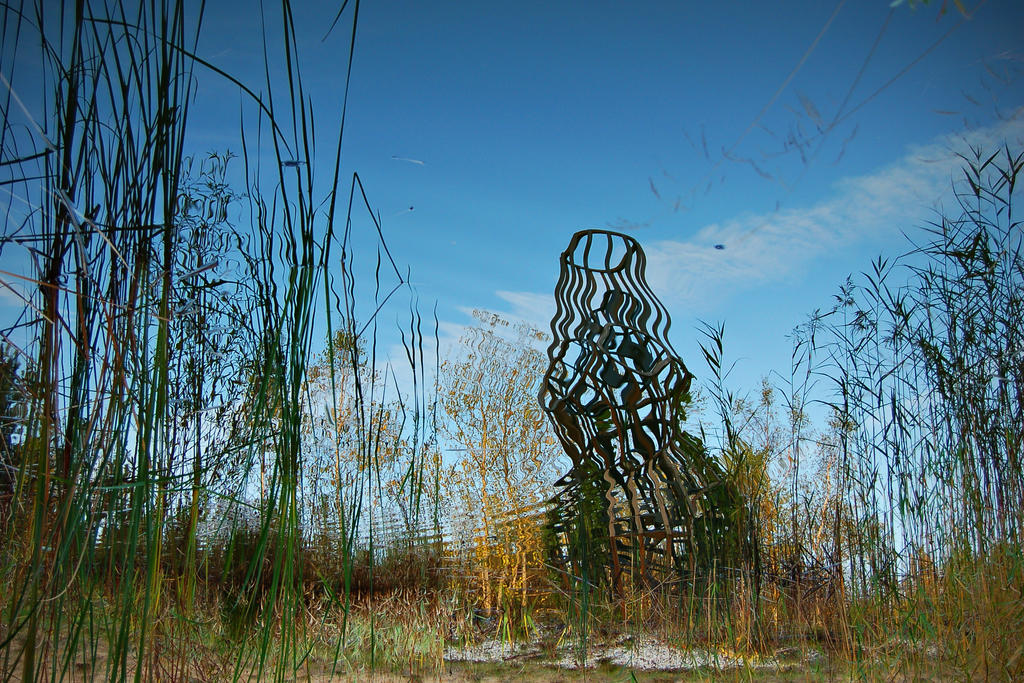 Distorted Vision by OrangeUtan on DeviantArt