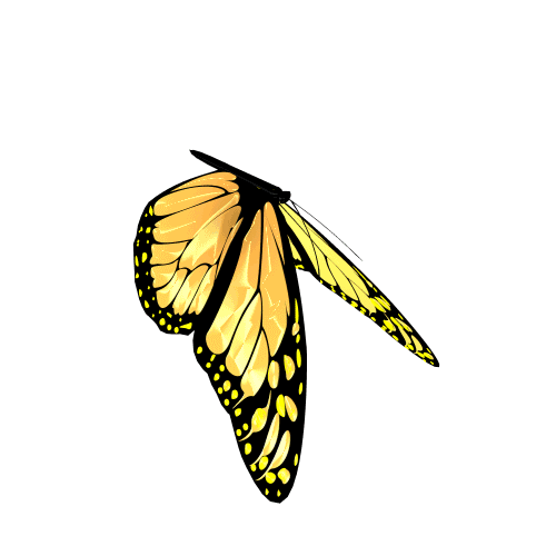 Maya Butterfly by kamlesh on DeviantArt Maya Butterfly by kamlesh on DeviantArt