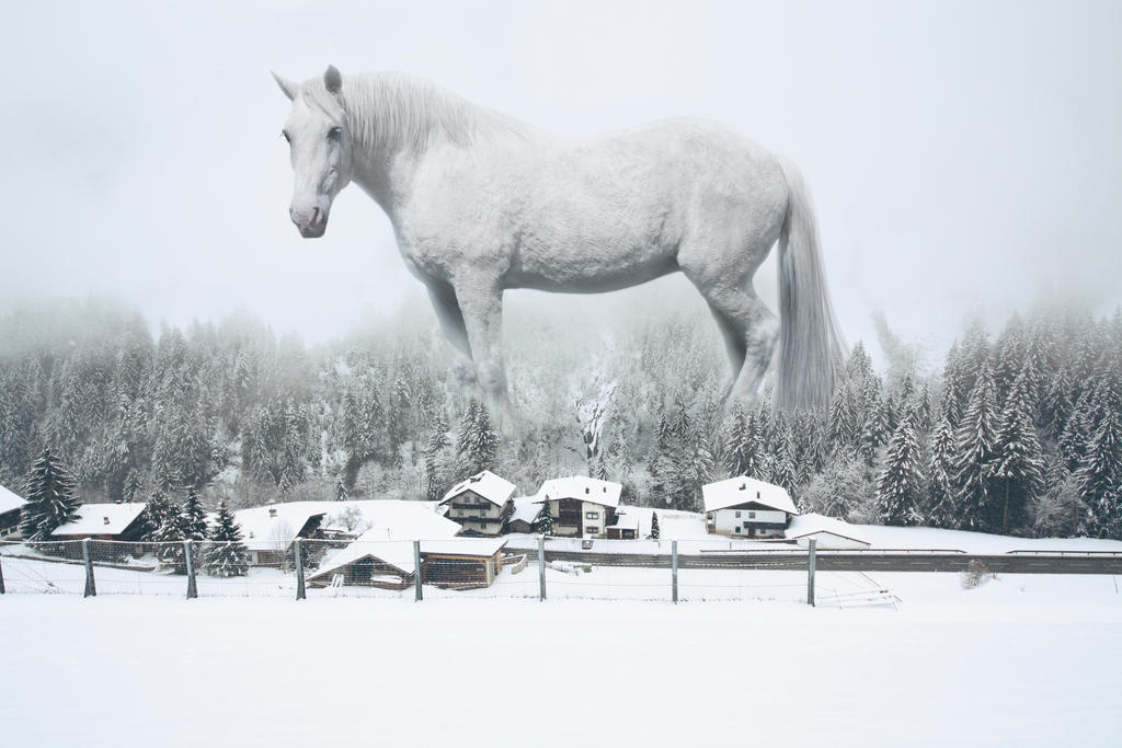 Great White Horse By Civetta ing On DeviantArt great-white-horse-by-civetta-ing-on-deviantart