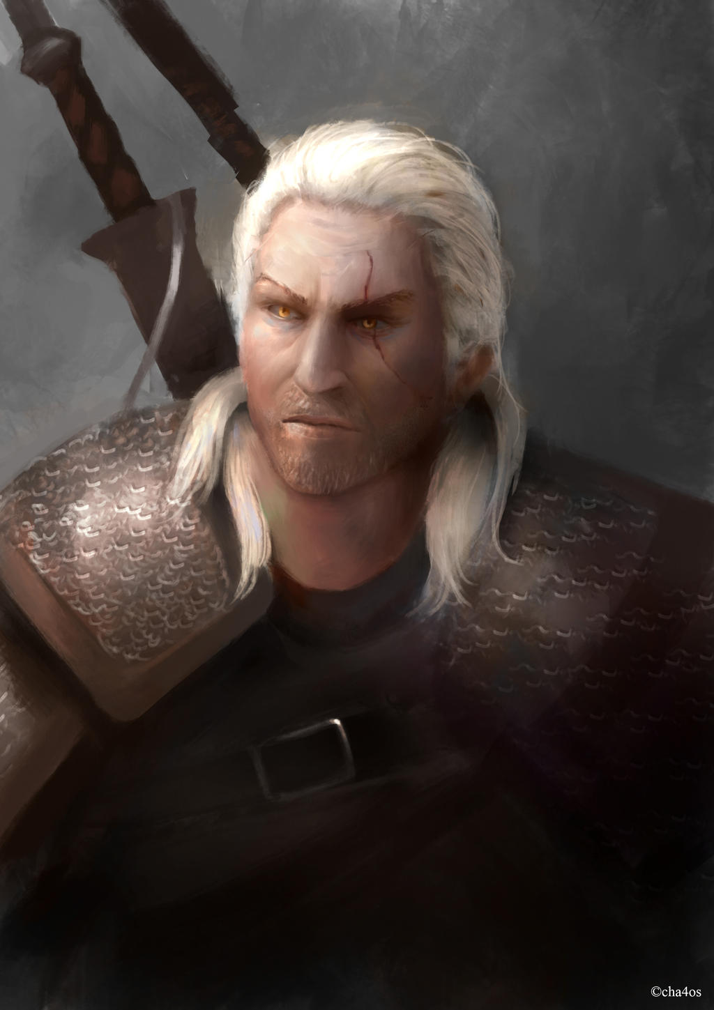 Gerald Of Rivia by cha4os on DeviantArt