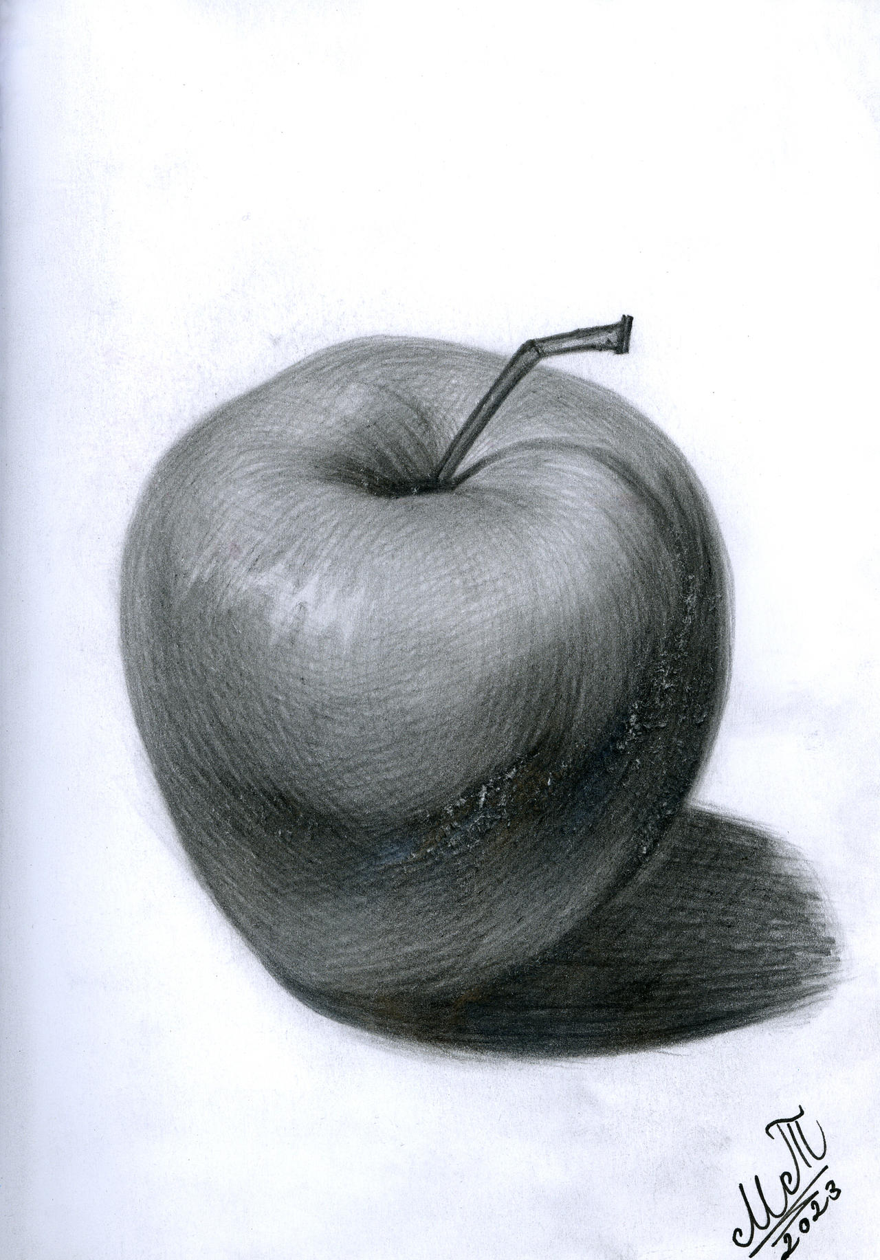 Realistic Apple Sketch by greenmarta on DeviantArt