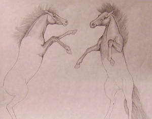 Unfinished Horses