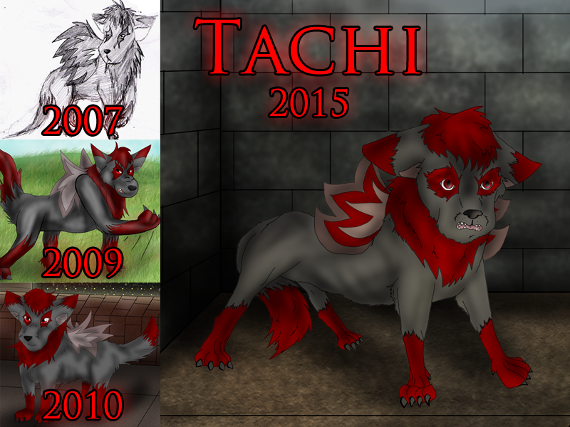 Tachi Over the Years