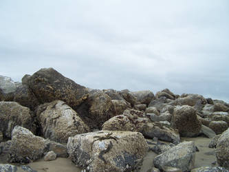 Rocks