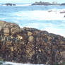 Ocean's Teeth 03