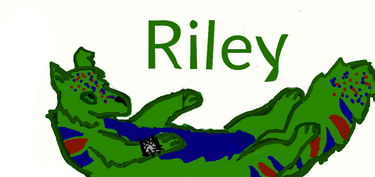 Riley My OC