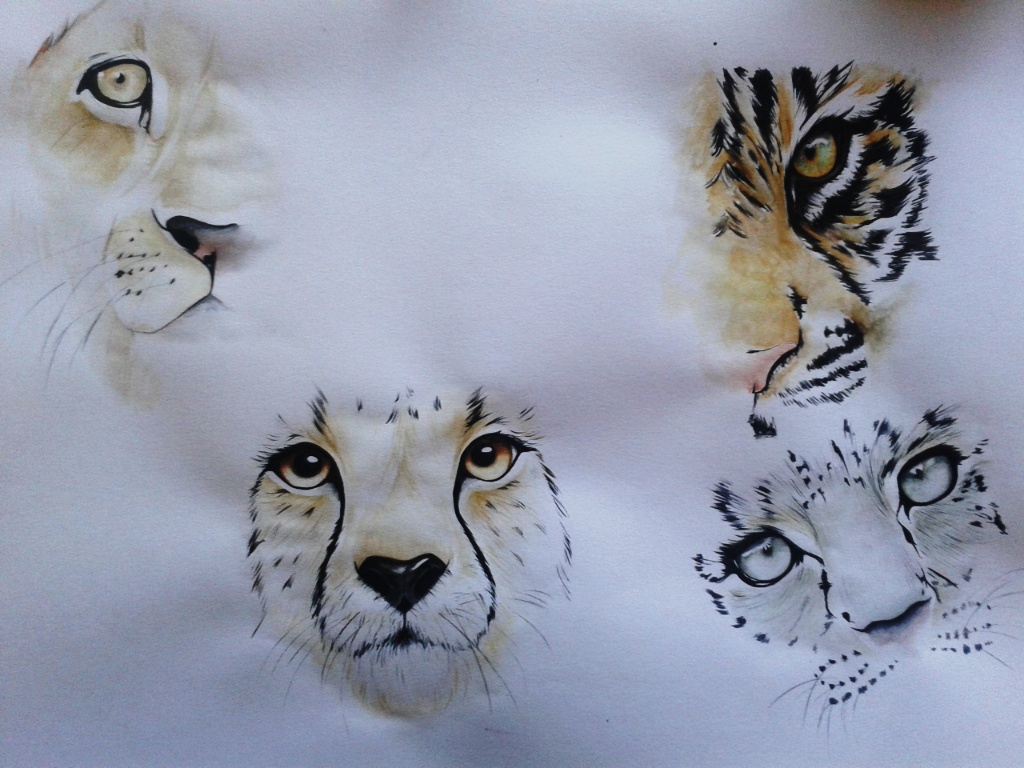 wild cats watercolor