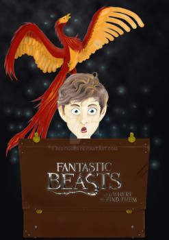 Poster - Fantastic Beasts And Where To Find Them